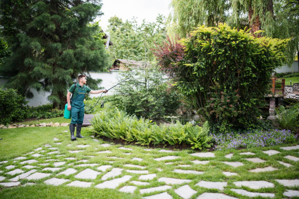Best Affordable Pest Control Services  in Fort Dix, NJ