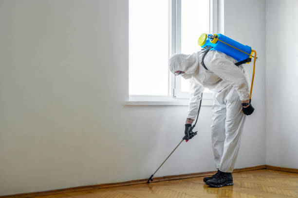 Best Ant Control Services  in Fort Dix, NJ