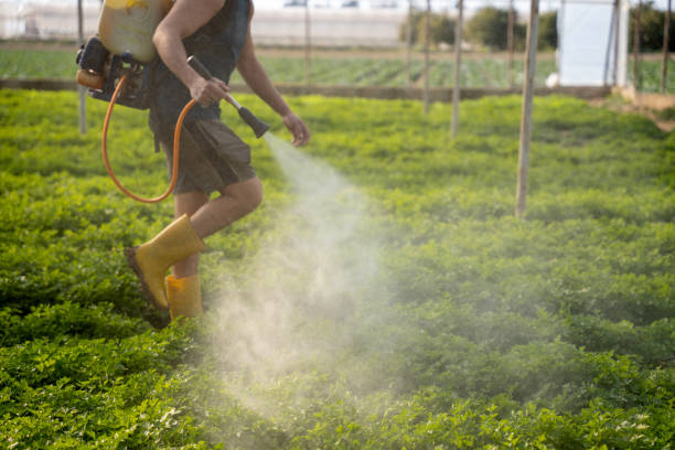 Best Mosquito Control Services  in Fort Dix, NJ
