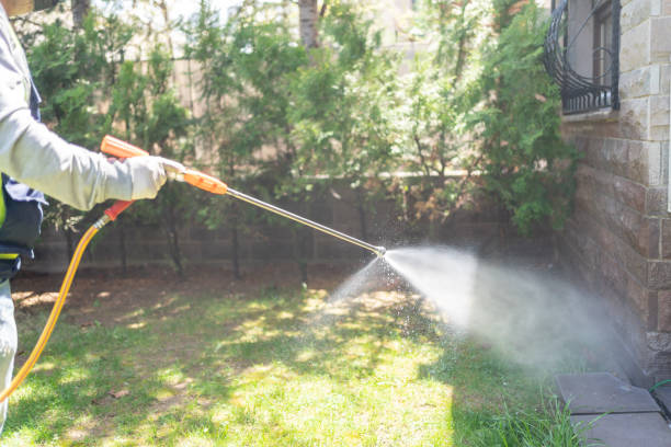 Best Pest Control Near Me  in Fort Dix, NJ