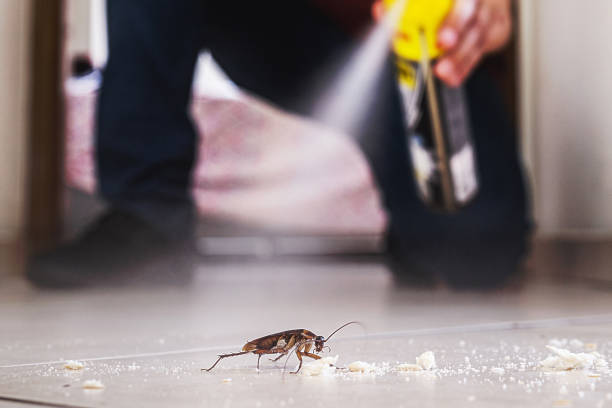 Best Wildlife Control Services  in Fort Dix, NJ