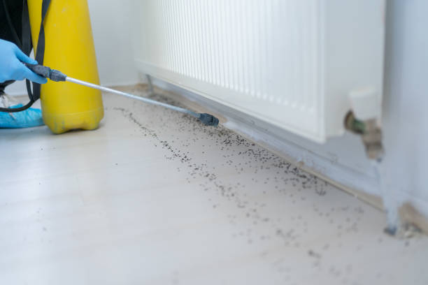 Best Emergency Pest Control  in Fort Dix, NJ
