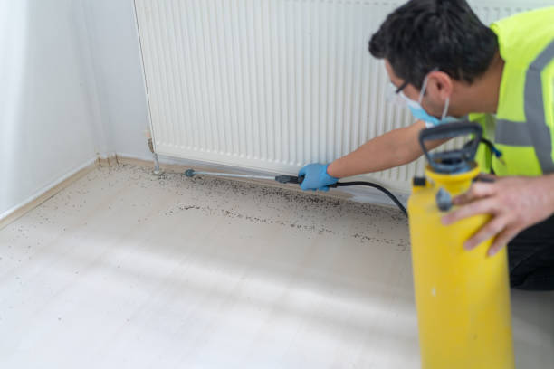 Flea Control Services in Fort Dix, NJ